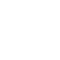 Catcha Investment Corp logo