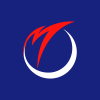 Mizuho Financial Group Inc. logo